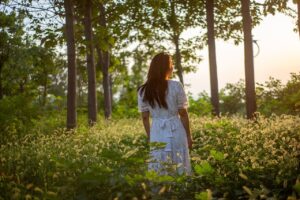 아침 햇볕 쬐기의 호르몬 효과와 건강상 이점