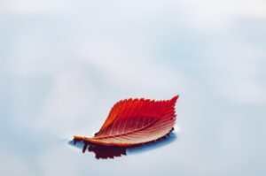 계절별 건강 관리법 봄 여름 가을 겨울 체크리스트