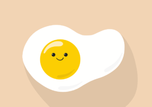 식물성 단백질 vs 동물성 단백질 흡수율 차이는?