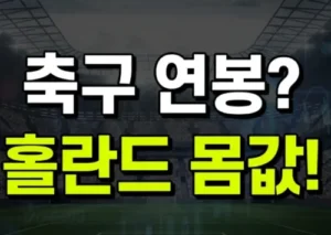 축구선수 연봉순위 2026 홀란드 대표팀 몸값까지